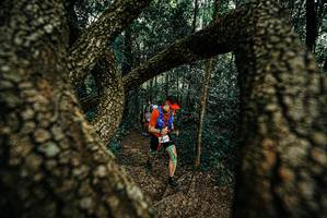 BIB: 
                            <button type="button" onclick="openModal(25668170)" class="btn btn-primary btn-sm float-right btn-popup" data-toggle="modal" data-target=".modal-high-quality">
                        <i class="fas fa-shopping-cart"></i> Add to Cart
                    </button>
                                            <button type="button" onclick="isThisMe(25668170, true)" class="btn btn-success btn-sm float-right btn-popup btn-isme hidden" data-toggle="tooltip" data-placement="bottom" title="นี่คือรูปของคุณใช่ไหม คลิกที่นี่เพื่อเอาเข้าอัลบั้ม">
                        <i class="fas fa-plus"></i> Add to album
                    </button>
                    <button type="button" onclick="isThisMe(25668170, false)" class="btn btn-warning btn-sm float-right btn-popup btn-isnotme hidden">
                        <i class="fas fa-ban"></i> Remove from album
                    </button>